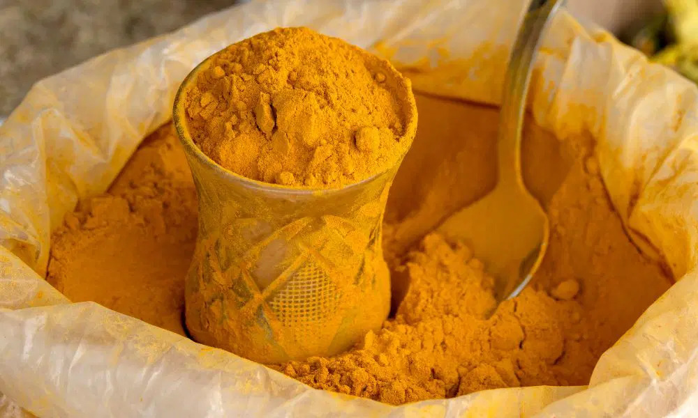 Trusted Turmeric Powder Exporter in United Kingdom - Avin Exims International