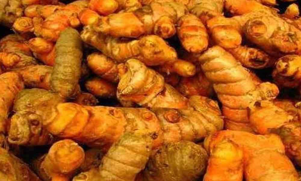 Trusted Turmeric Finger Supplier in United Kingdom - Avin Exims International